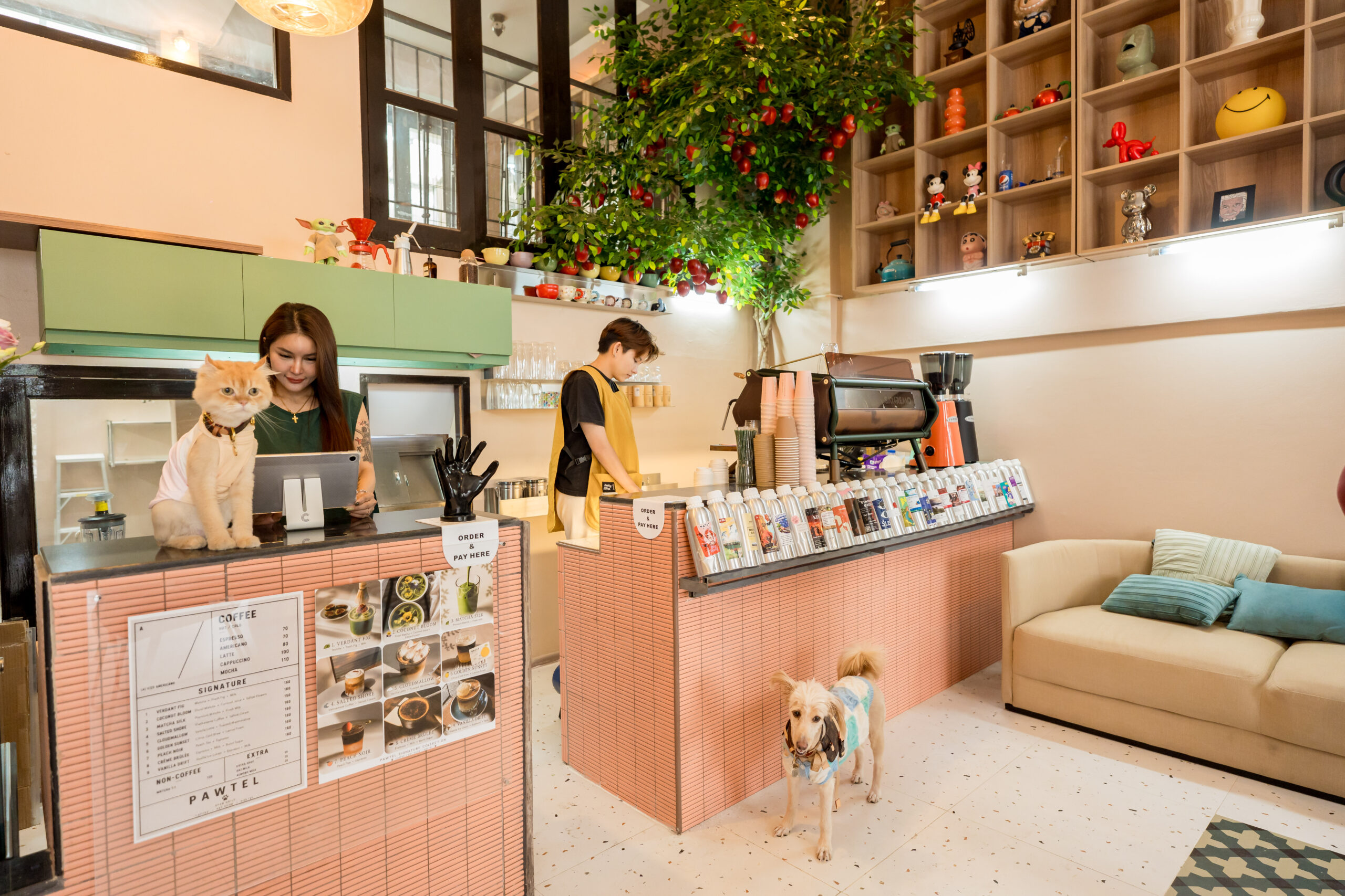 Pawtel Cafe Luxury Pet Lifestyle Cafe Sukhumvit 23 Welcome 1