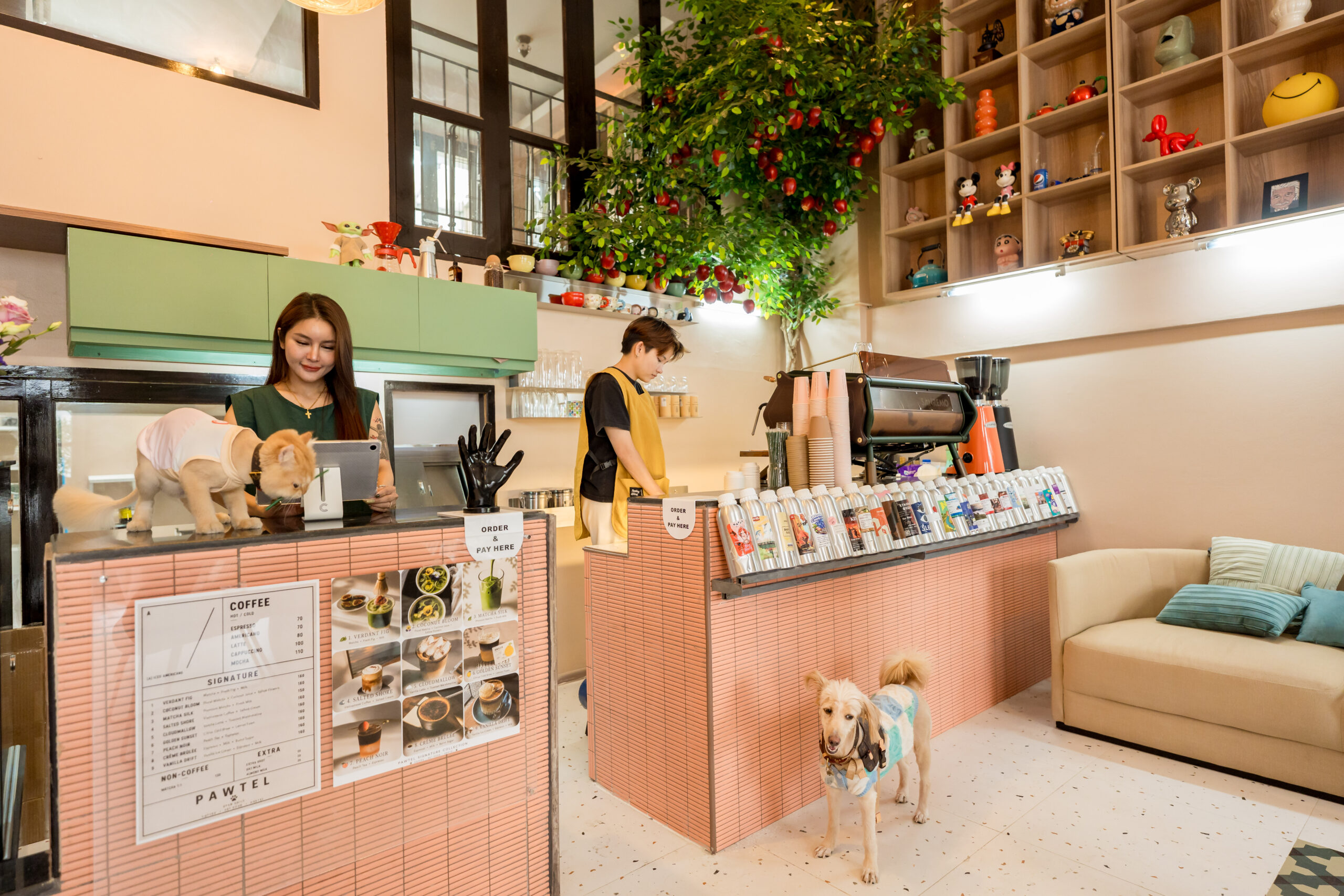 Pawtel Cafe Luxury Pet Lifestyle Cafe Sukhumvit 23 Welcome 4